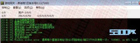 windoxws通常每个地址（协议/网络地址/端口）只允许使用一次